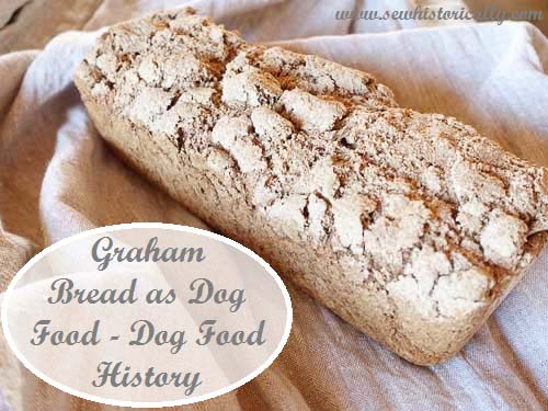 Graham bread as dog food - victorian and edwardian dog food history