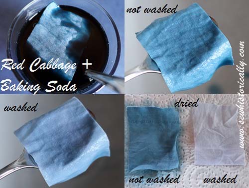 Red Cabbage + Baking Soda - Dye Samples