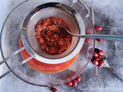 Rose Hip Jam - Remove Hairs And Seeds