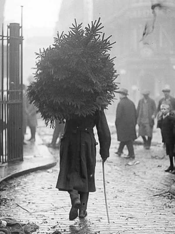 The Victorian Christmas Tree