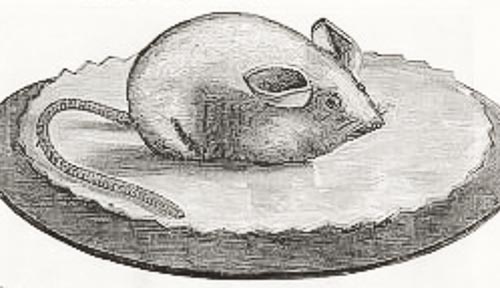 Victorian Mouse Penwiper