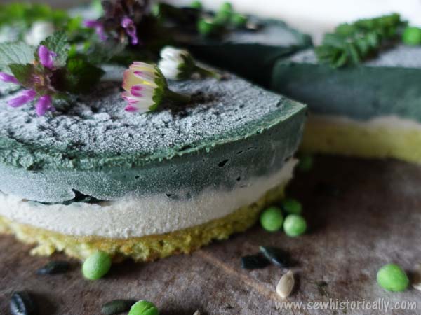 Naturally Green Raw Sunflower Seeds Cheesecake Filling