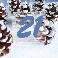 Advent Calendar 2018 Door 21