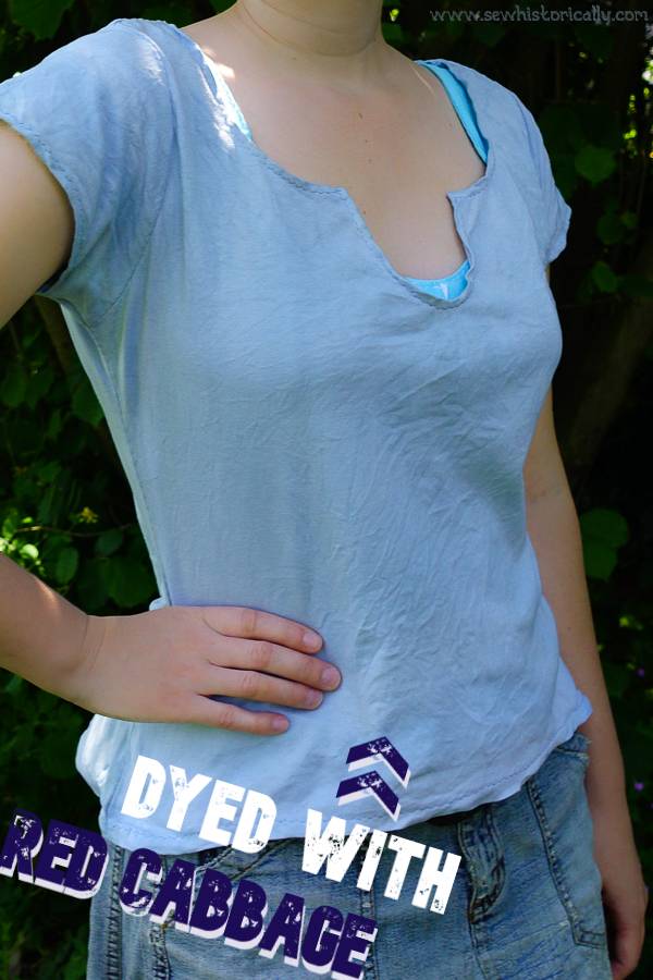 Natural Dyeing Cotton Clothes With Red Cabbage Without Mordant